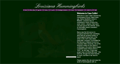 Desktop Screenshot of casacolibri.net